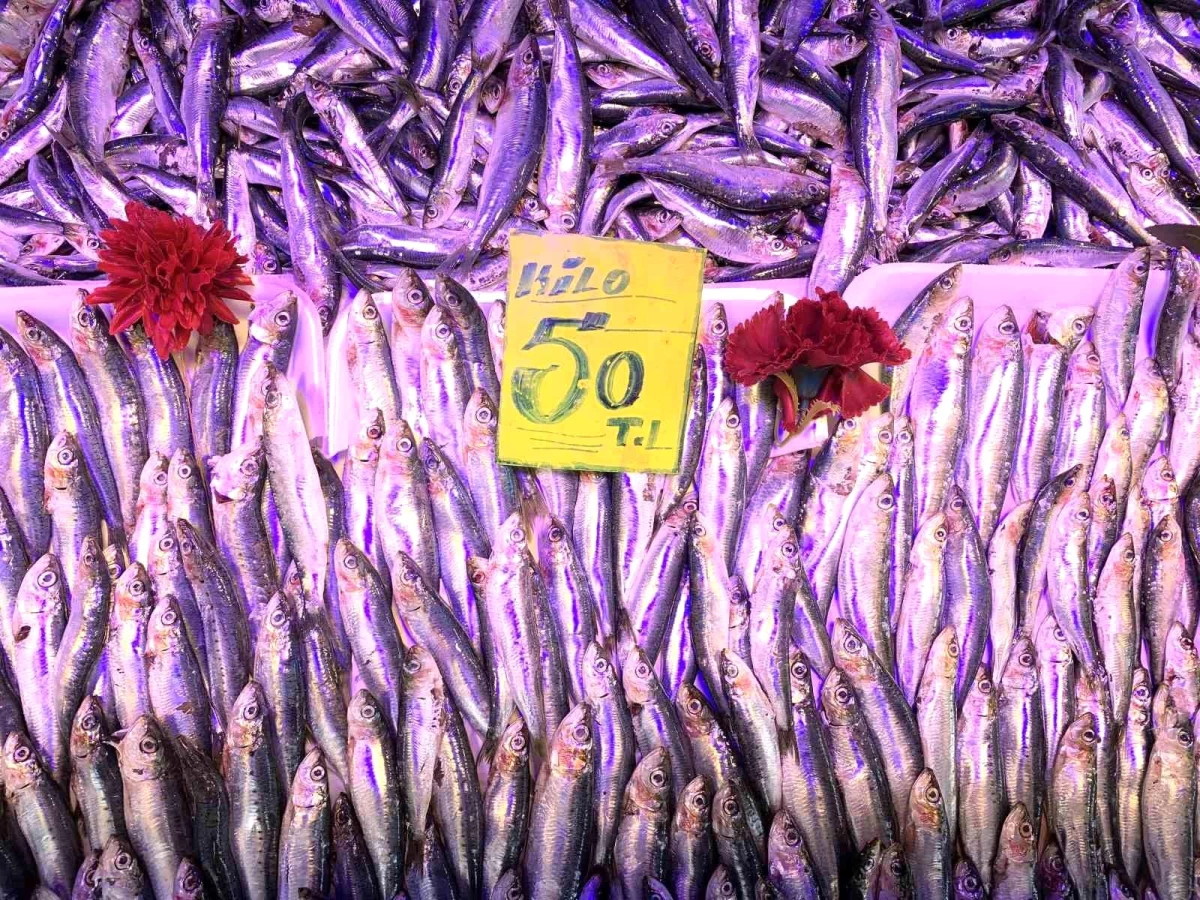Eskişehir\'de balık fiyatları
