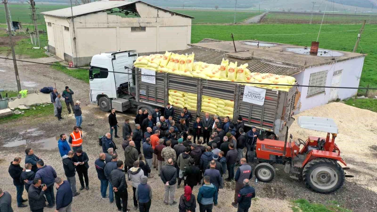 Gaziantep\'te arpa ve buğday üreticilerine gübre desteği