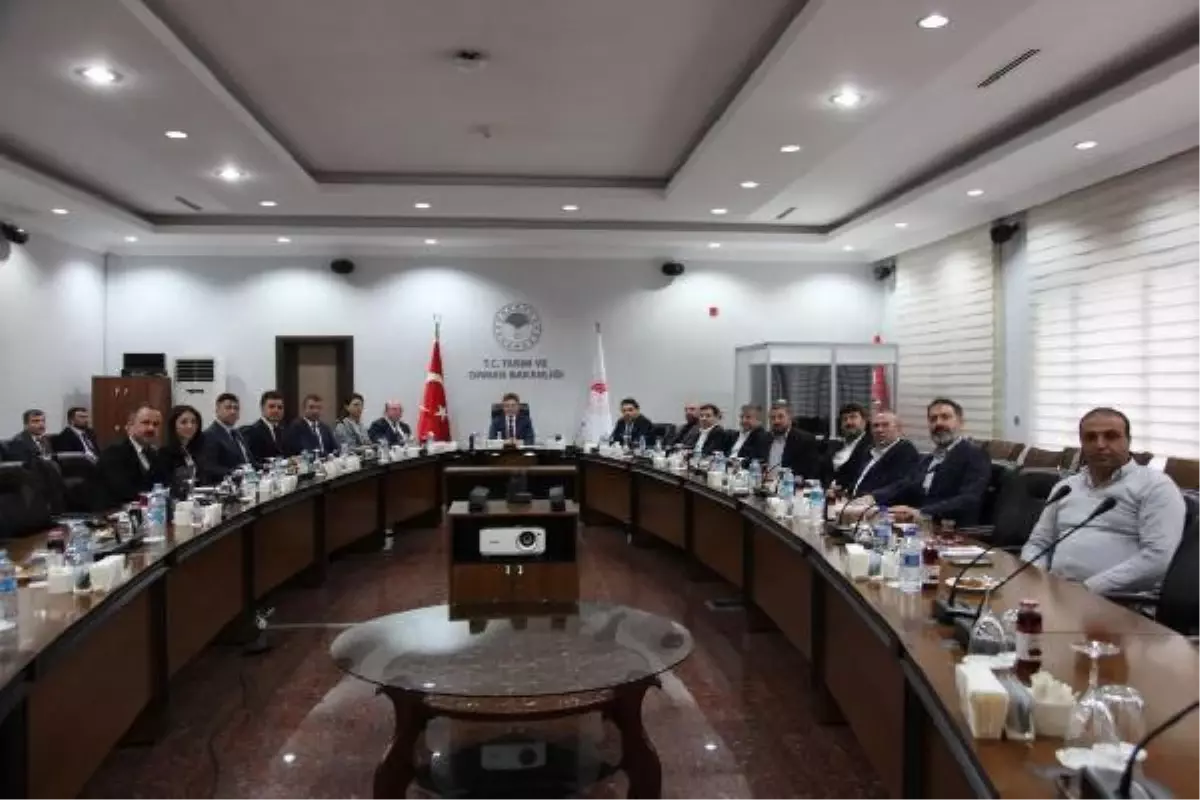 İstanbul\'da bazı marketlerden et fiyatını sabitleme kararı