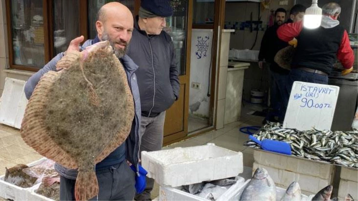 Karadeniz\'de ağa takılan yaklaşık 9 kiloluk kalkan balığı, 5 bin liraya alıcı buldu