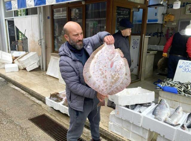 Karadeniz'de avlanan yaklaşık 9 kiloluk kalkan balığı 5 bin liraya satıldı Karadeniz'de avlanan yaklaşık 9 kiloluk kalkan balığı 5 bin liraya satıldı