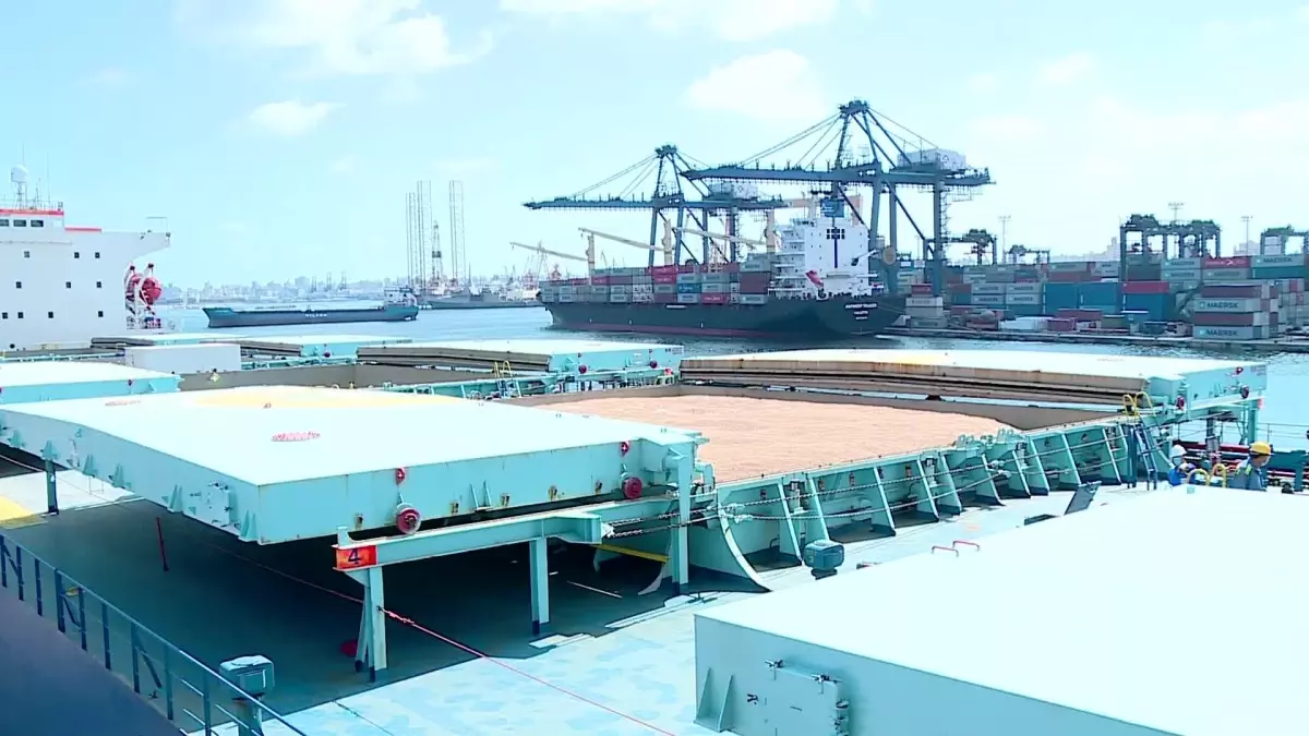 Mısır, Uluslararası İhalede Ukrayna Buğdayı Satın Aldı