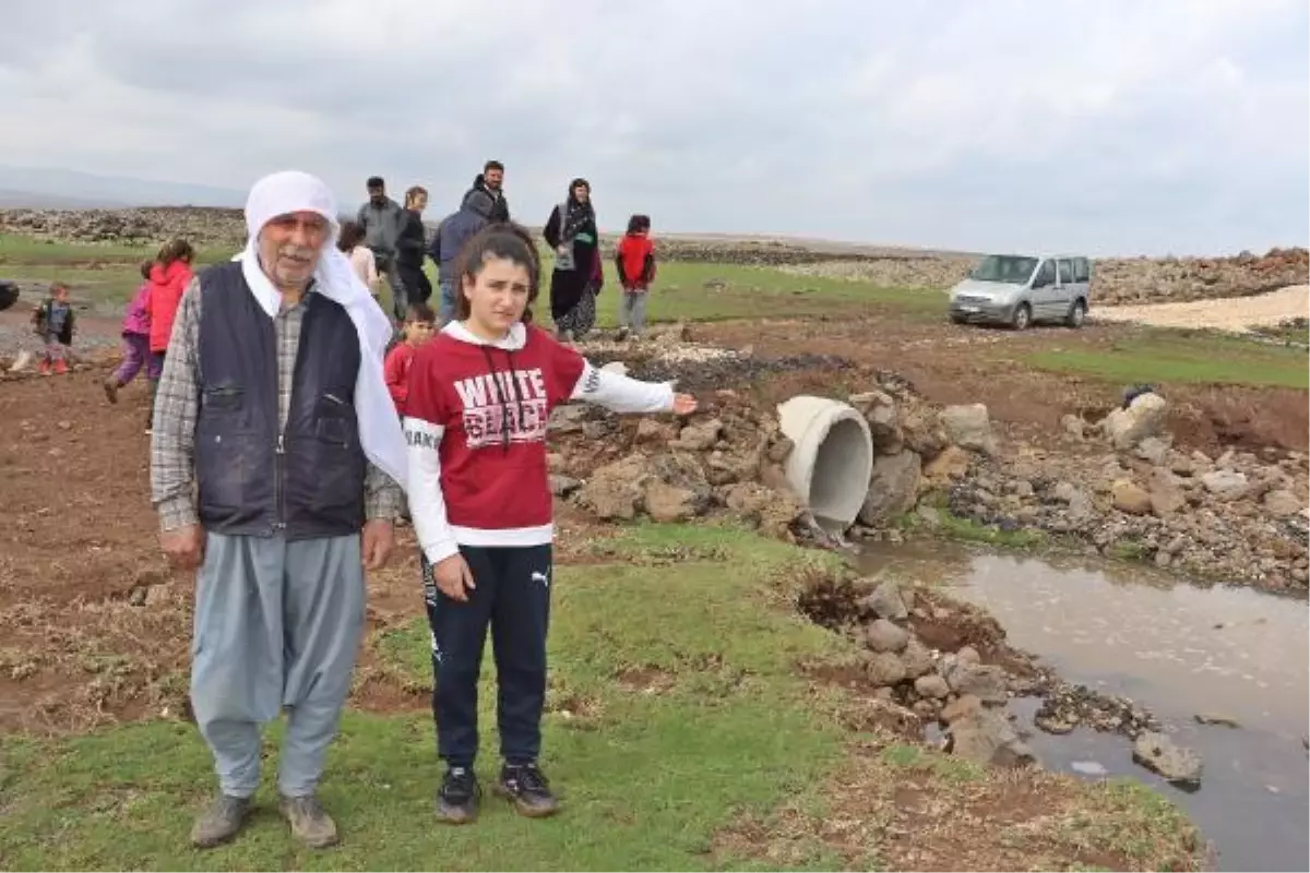 Sağanakta köprü yıkılınca, öğrencileri derenin diğer tarafına sırtlarında taşıyarak geçirdiler