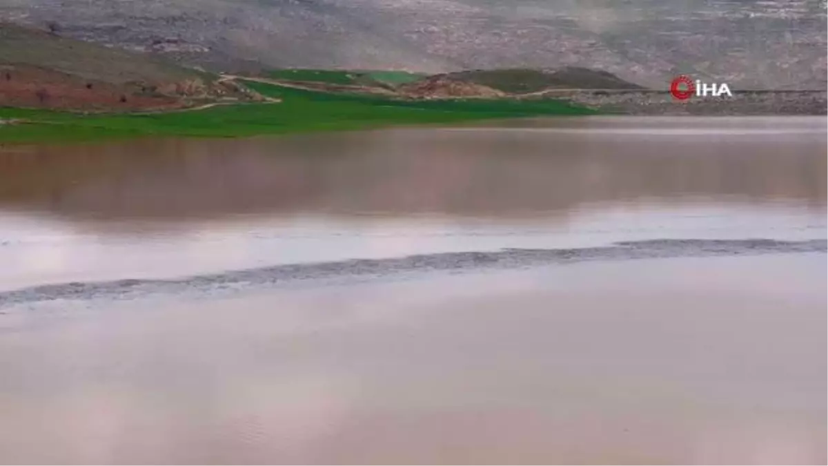 Çiftçinin evdeki hesabı çarşıya uymadı: Kuruyan gölette buğday ekti, sağanak biçti