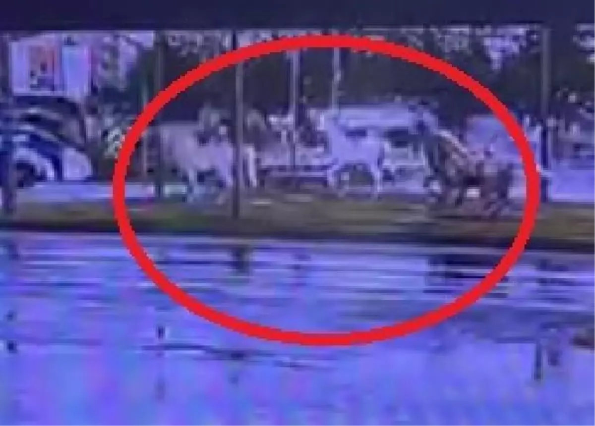 AFAD\'ın minibüsü ile otomobilin çarpıştığı kaza kamerada