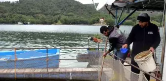 Deprem balık ihracatını da vurdu: Üretim 7 milyon ton azalacak