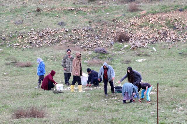 Depremzedeler karaya vuran balıkların yaşaması için seferber oldu