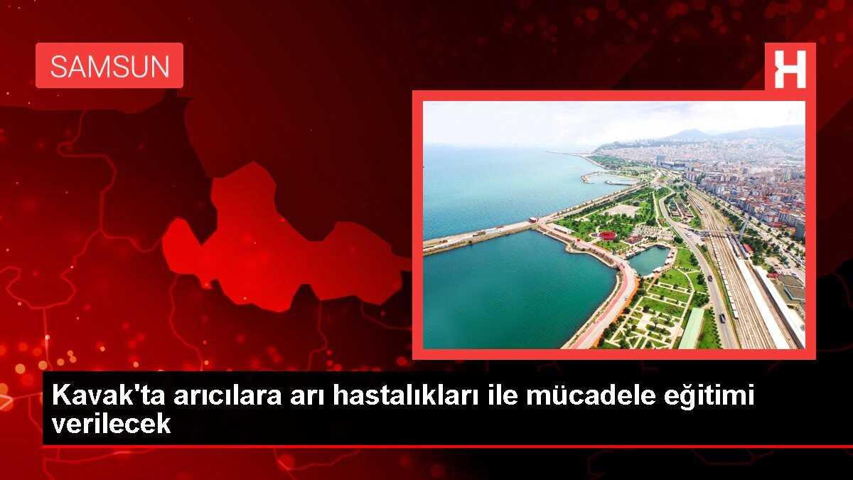 Kavak'ta arıcılara arı hastalıkları ile mücadele eğitimi verilecek