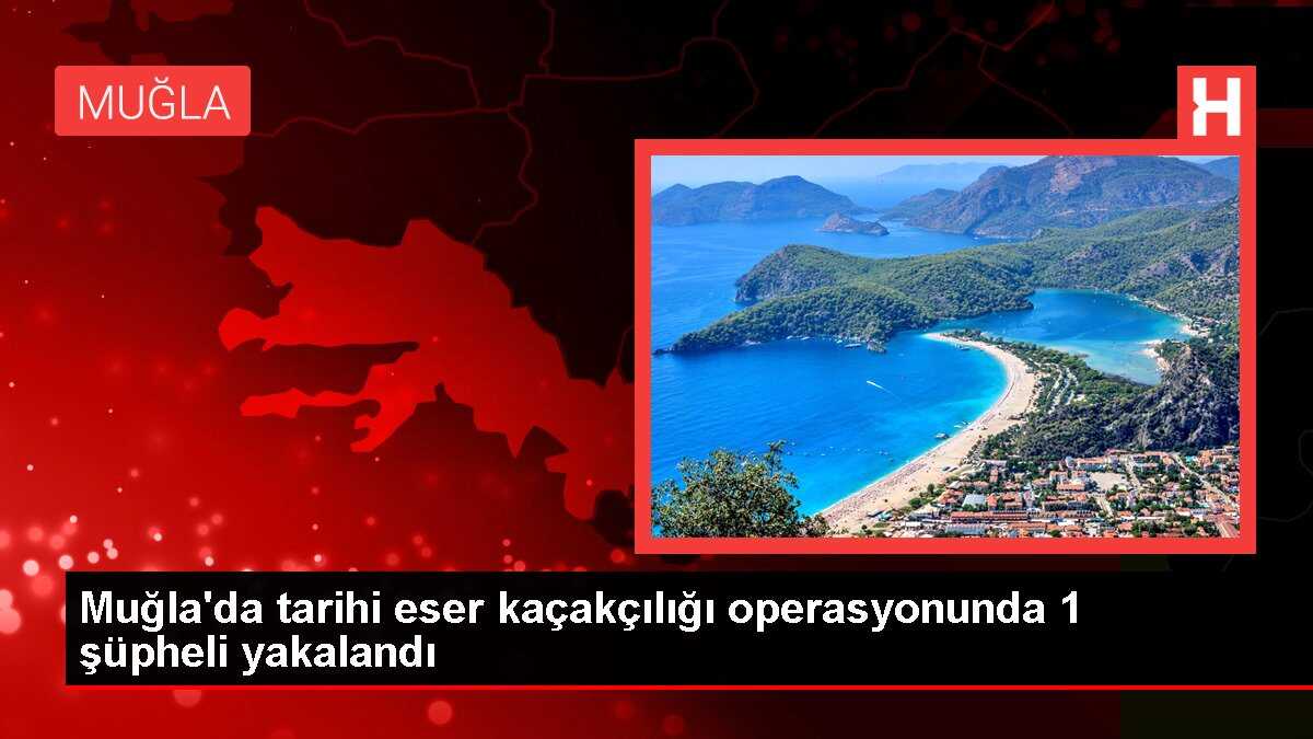 Muğla'da tarihi eser kaçakçılığı operasyonunda 1 şüpheli yakalandı