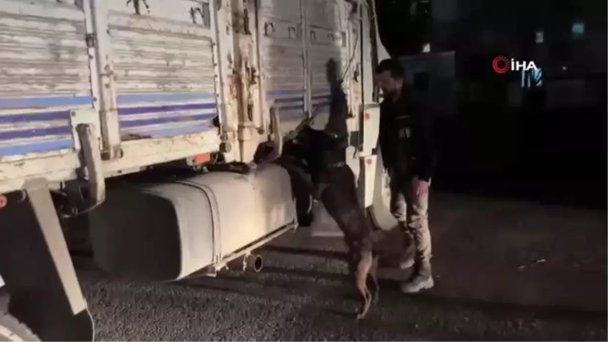 Nakliye yapılan kamyonun içindeki buzdolabından 81 kilo skunk ele geçirildi: 4 kişi tutuklandı