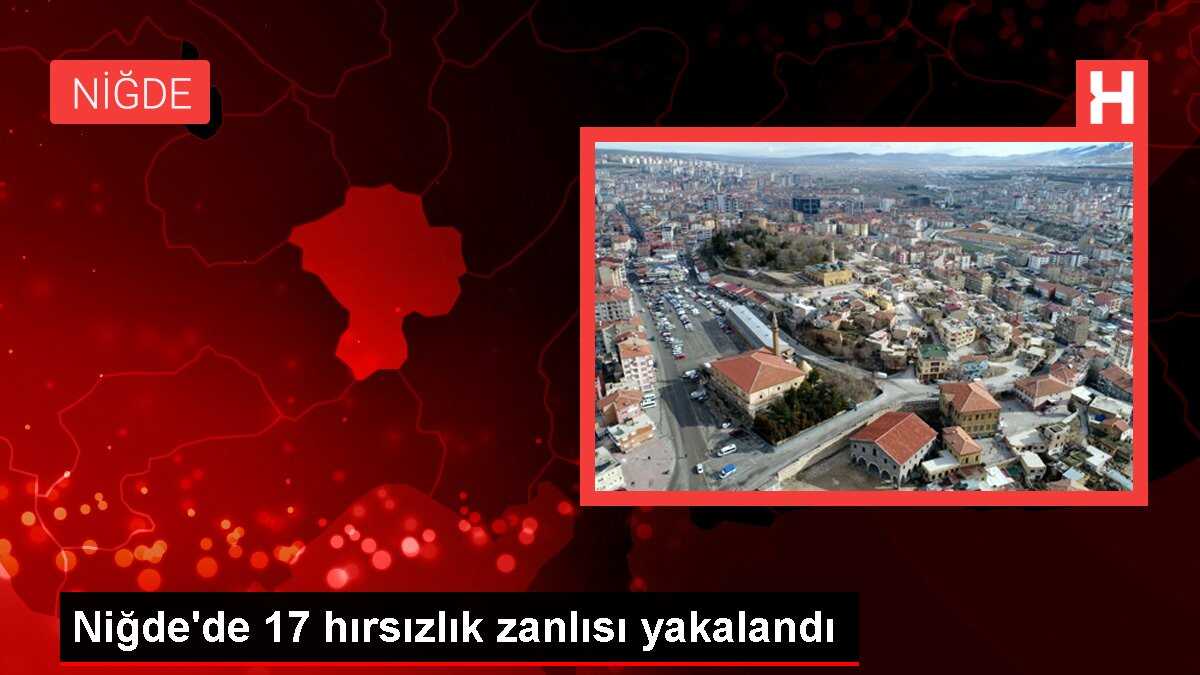 Niğde'de 17 hırsızlık zanlısı yakalandı