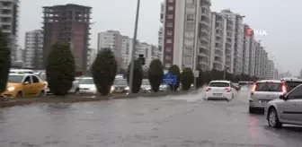 Sel felaketi sonrası balıklar oksijensiz kalarak telef oldu