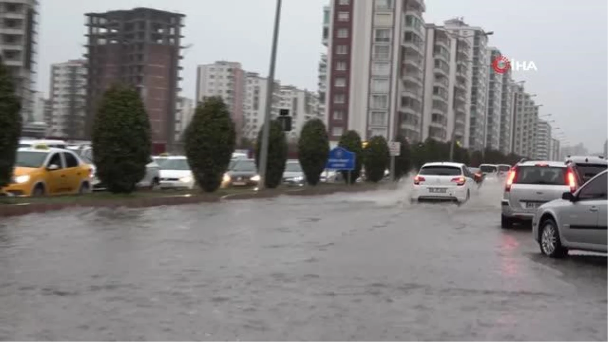 Sel felaketi sonrası balıklar oksijensiz kalarak telef oldu