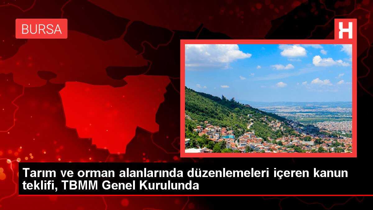 Tarım ve orman alanlarında düzenlemeleri içeren kanun teklifi, TBMM Genel Kurulunda