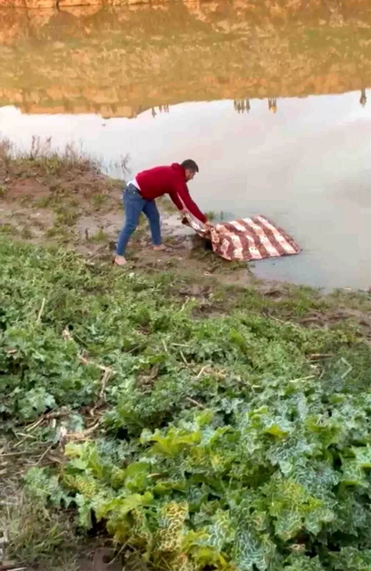 Ceylanpınar\'da dereye düşen kız çocuğu ölü bulundu