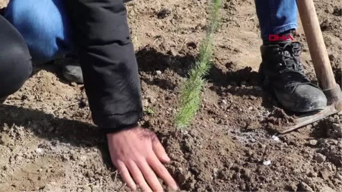 DEPREMZEDELER İÇİN FİDAN DİKTİLER