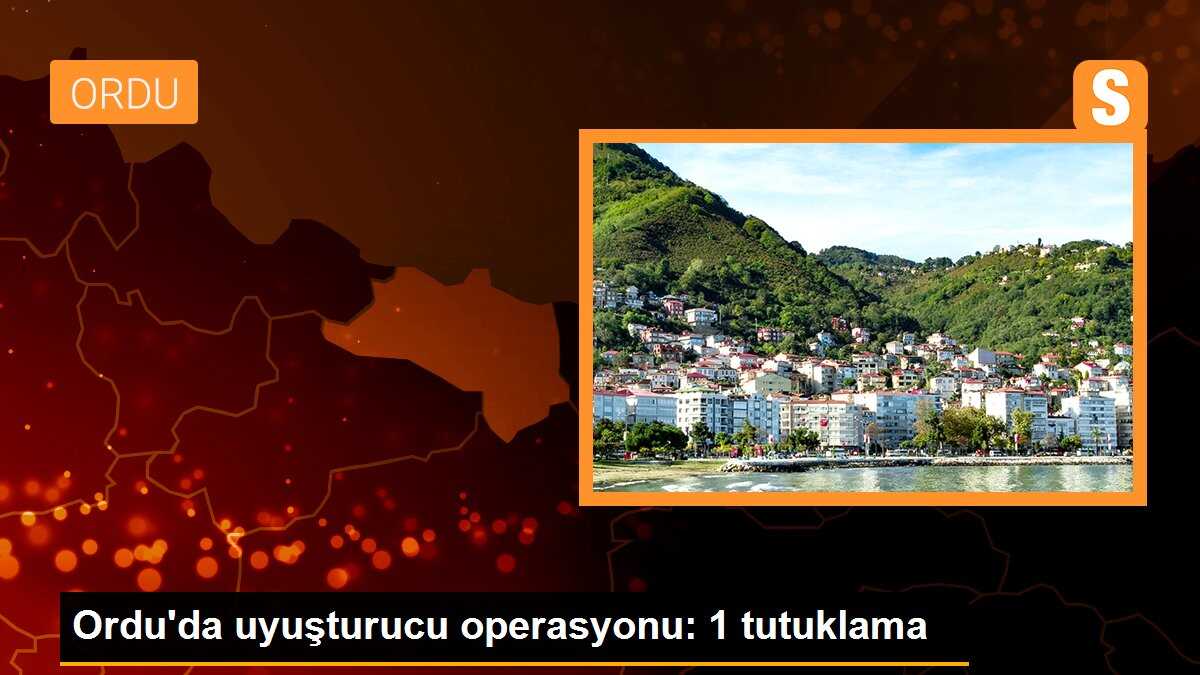 Ordu\'da uyuşturucu operasyonu: 1 tutuklama
