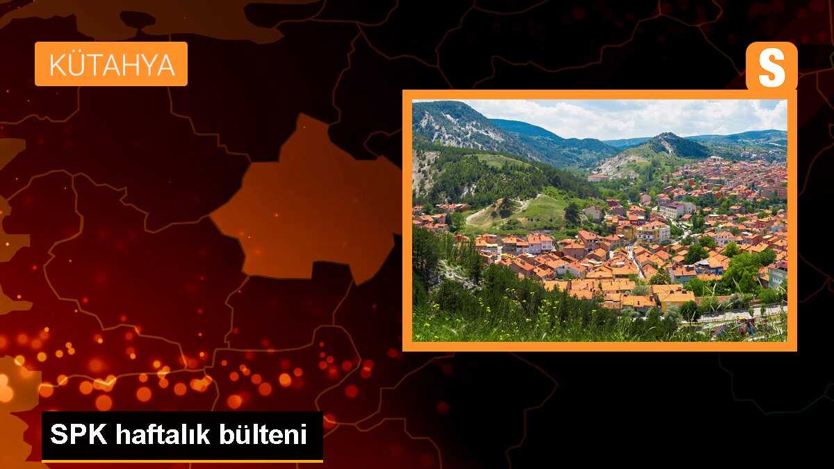 SPK haftalık bülteni