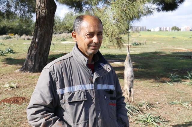 Tilkiyi vurup ağaca astılar