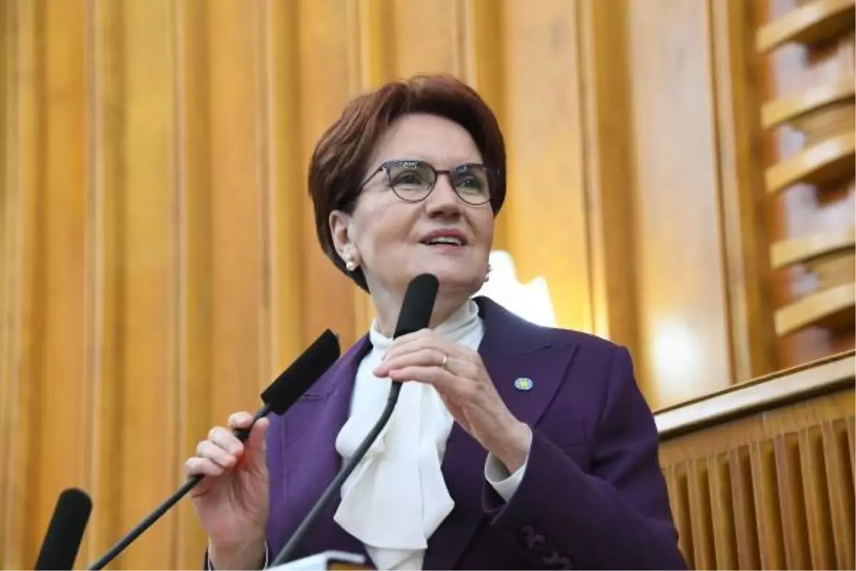 Akşener: Nevruz, katile özgürlük dilenme günü değildir