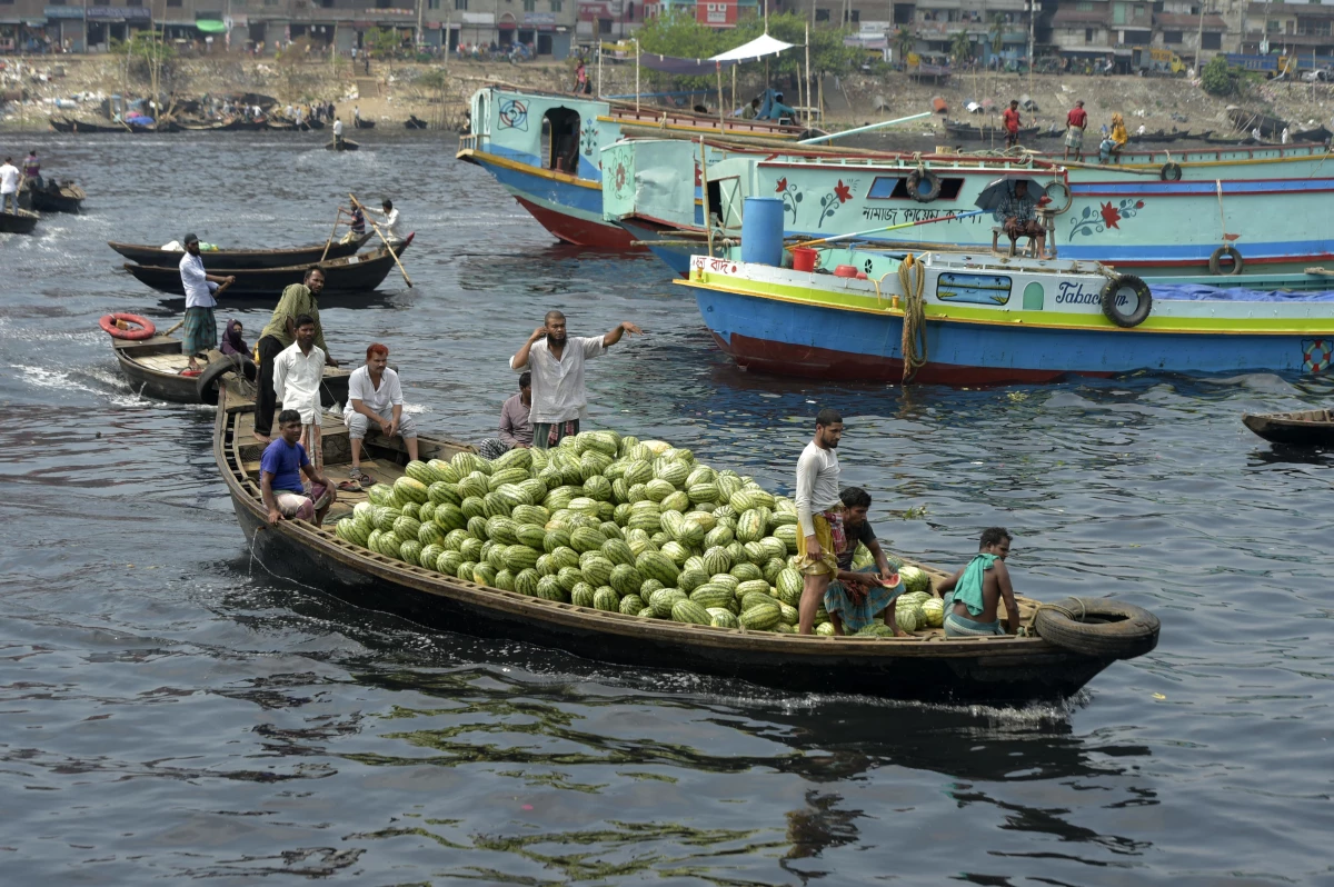 Bangladeş\'te Hasat Edilen Karpuzlar Satışa Teknelerle Götürülüyor