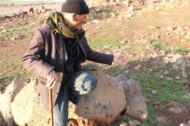 Binlerce çam kese tırtılı mahalleyi sardı, vatandaş tedirgin Binlerce çam kese tırtılı mahalleyi sardı, vatandaş tedirgin