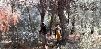 Kuşadası'nda okul öğrencilerinin yangınla imtihanı