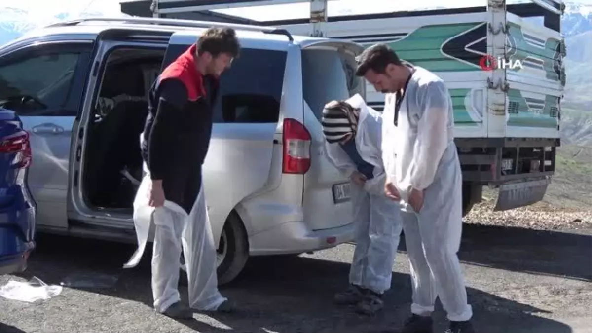 Şırnak\'ta şap hastalığına karşı 90 bin büyükbaş aşılanacak