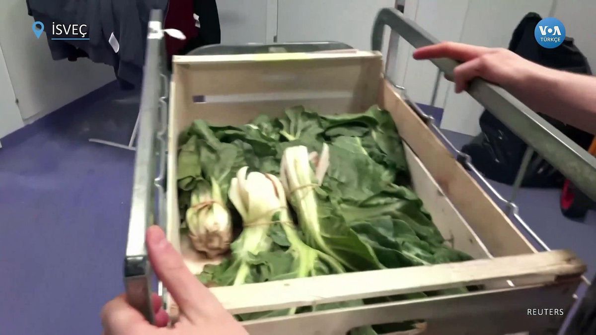 Bu Restorandaki Yemekler Atık Gıdadan Yapılıyor