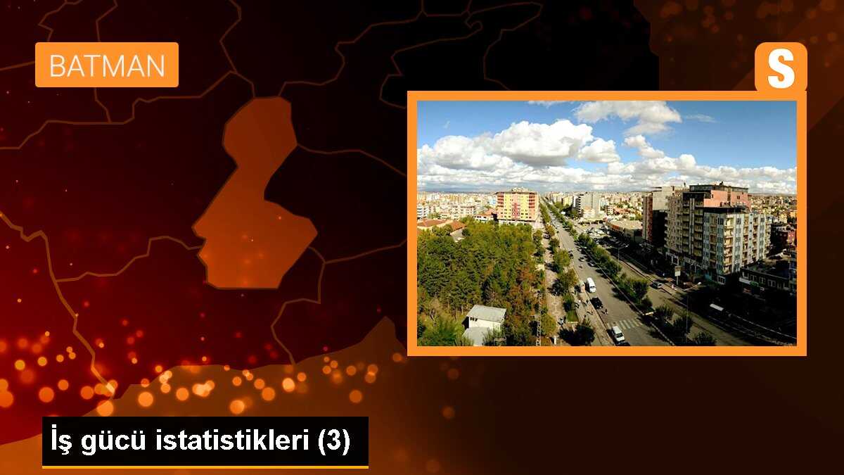İş gücü istatistikleri (3)
