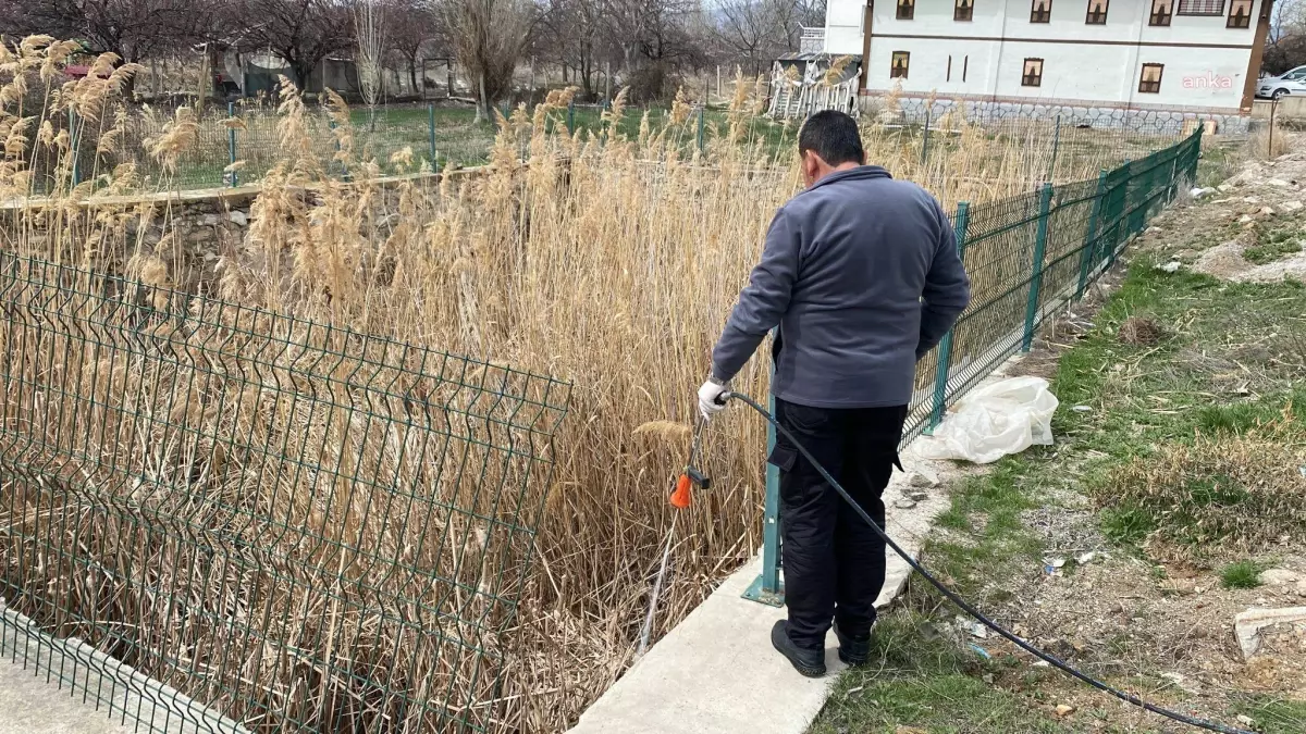 Kırşehir Belediyesi Ekipleri, Sinek ve Haşerelere Karşı İlaçlama Çalışmalarını Sürdürüyor