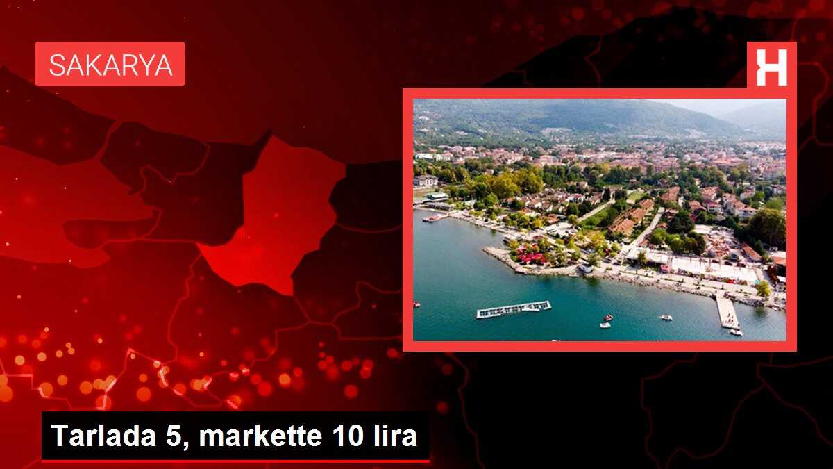 Tarlada 5, markette 10 lira