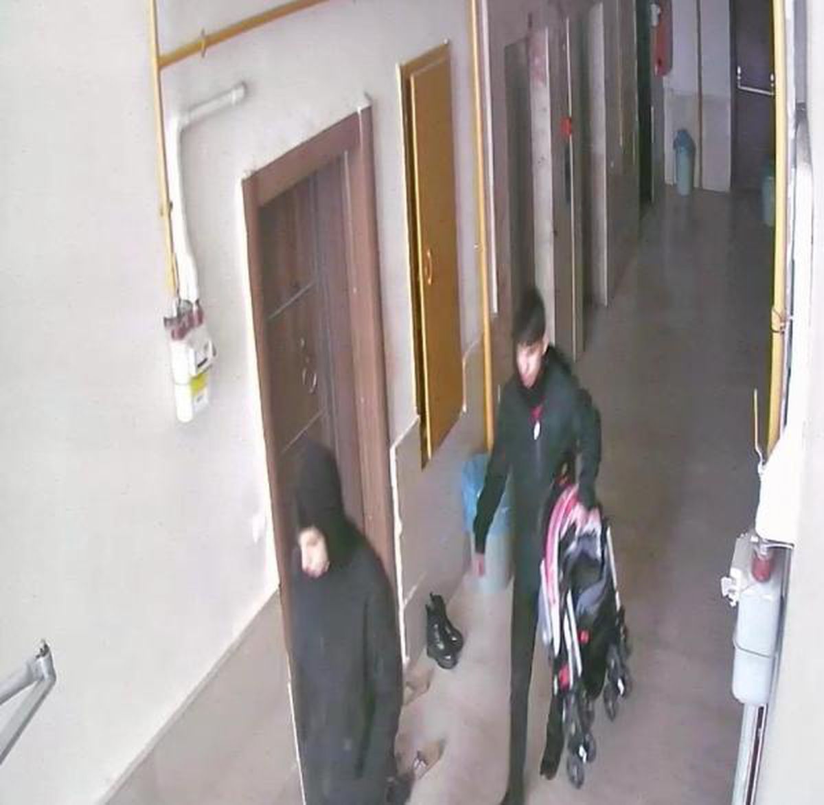 Ağrı'da 9 hırsızlık şüphelisi tutuklandı