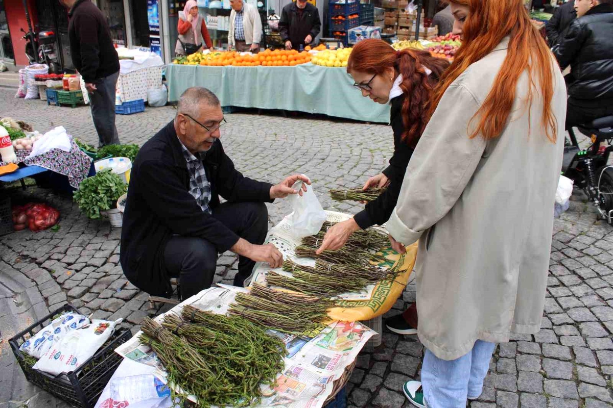 Aydın\'ın acı otu, fiyatıyla da görenlerin yüzünü buruşturuyor