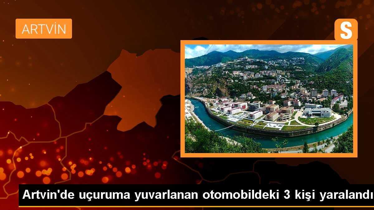 Artvin\'de uçuruma yuvarlanan otomobildeki 3 kişi yaralandı