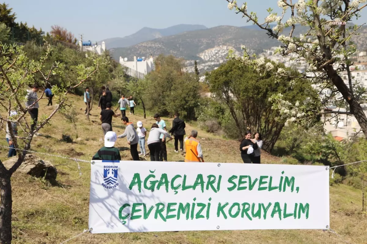 Bodrum Belediyesi\'nden Fidan Dikim Etkinliği