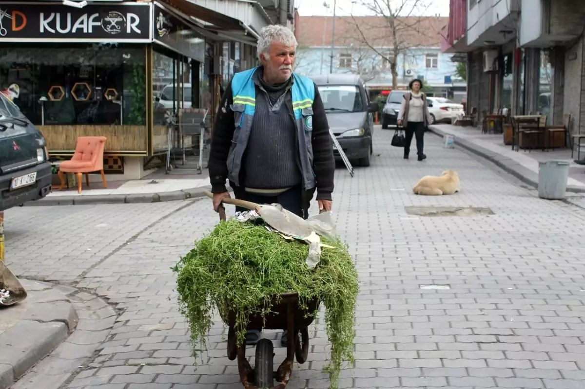 Emekli işçi gönüllü olarak her gün ilçeyi temizliyor