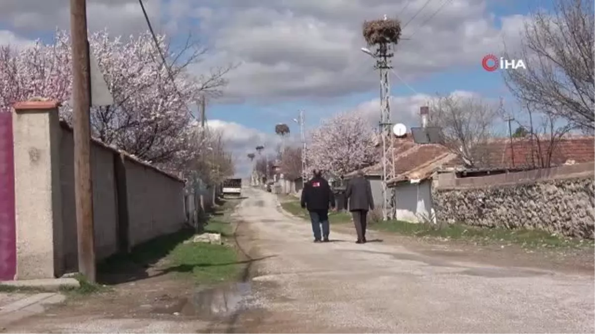 Göçmen köy, 60 yıldır göçmen kuşları misafir ediyor