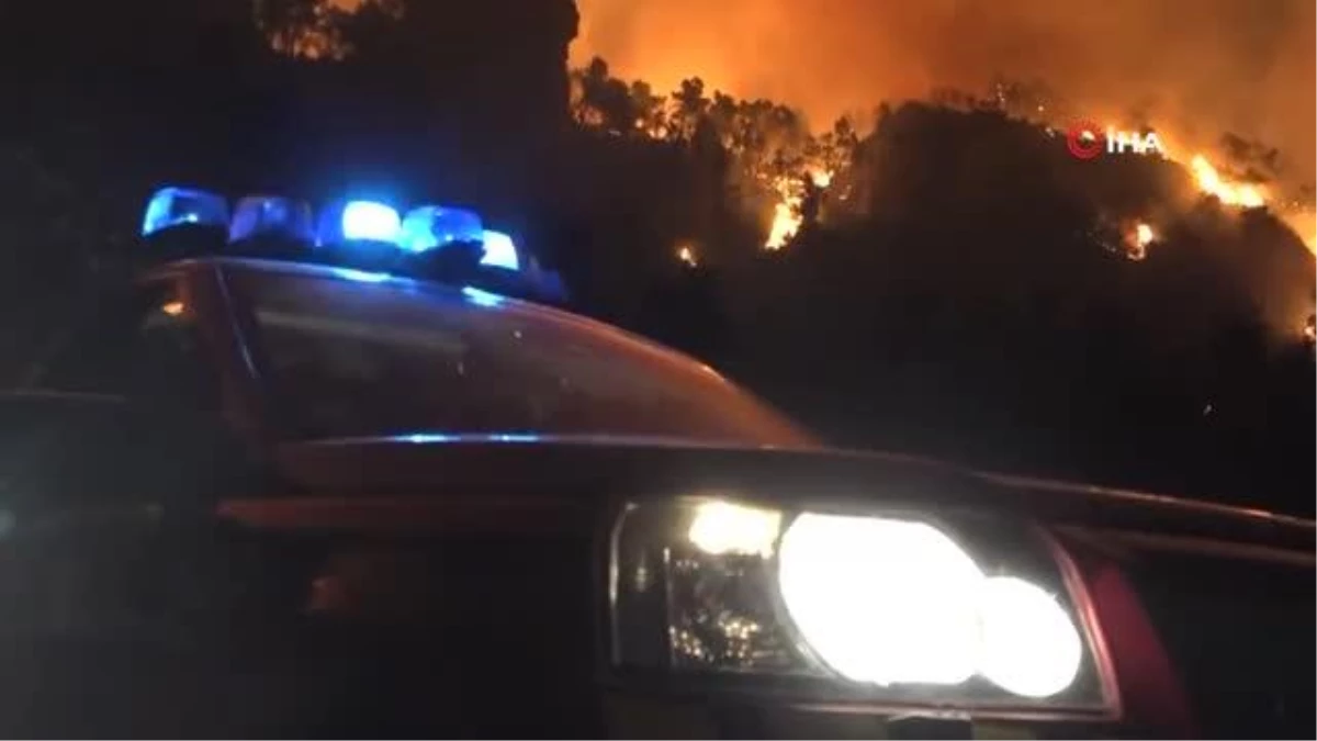 İspanya\'daki orman yangınında 4 bin hektardan fazla alan kül oldu
