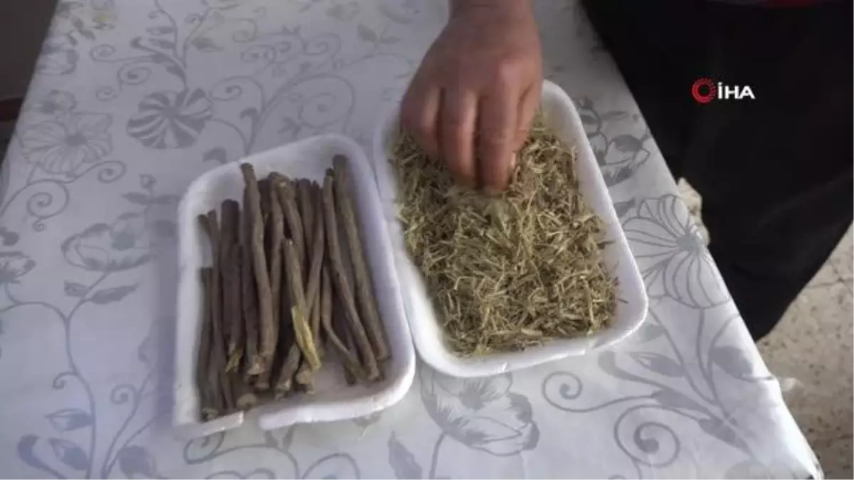 Ramazanın vazgeçilmez içeceği meyan şerbeti mesaisi başladı