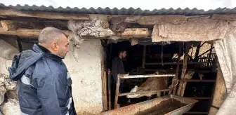 Elazığ'da sağanak sonrası evler ve tarım arazileri sular altında kaldı