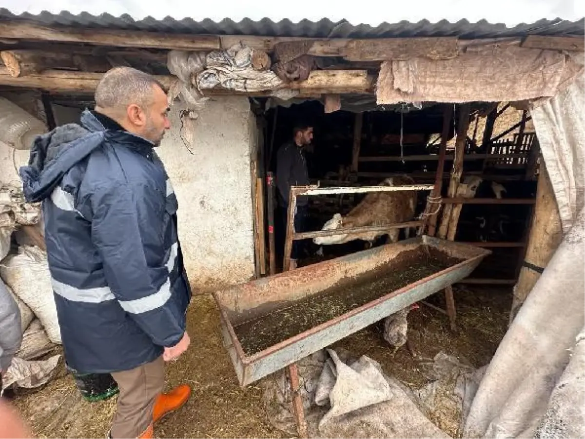 Elazığ\'da sağanak sonrası evler ve tarım arazileri sular altında kaldı