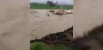 Elazığ'da sağanak sonrası evler ve tarım arazileri sular altında kaldı