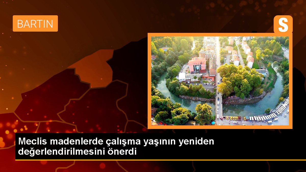 Meclis madenlerde çalışma yaşının yeniden değerlendirilmesini önerdi