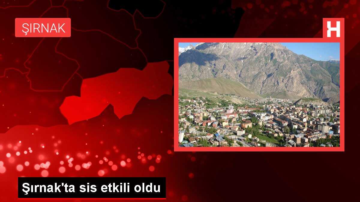 Şırnak'ta sis etkili oldu