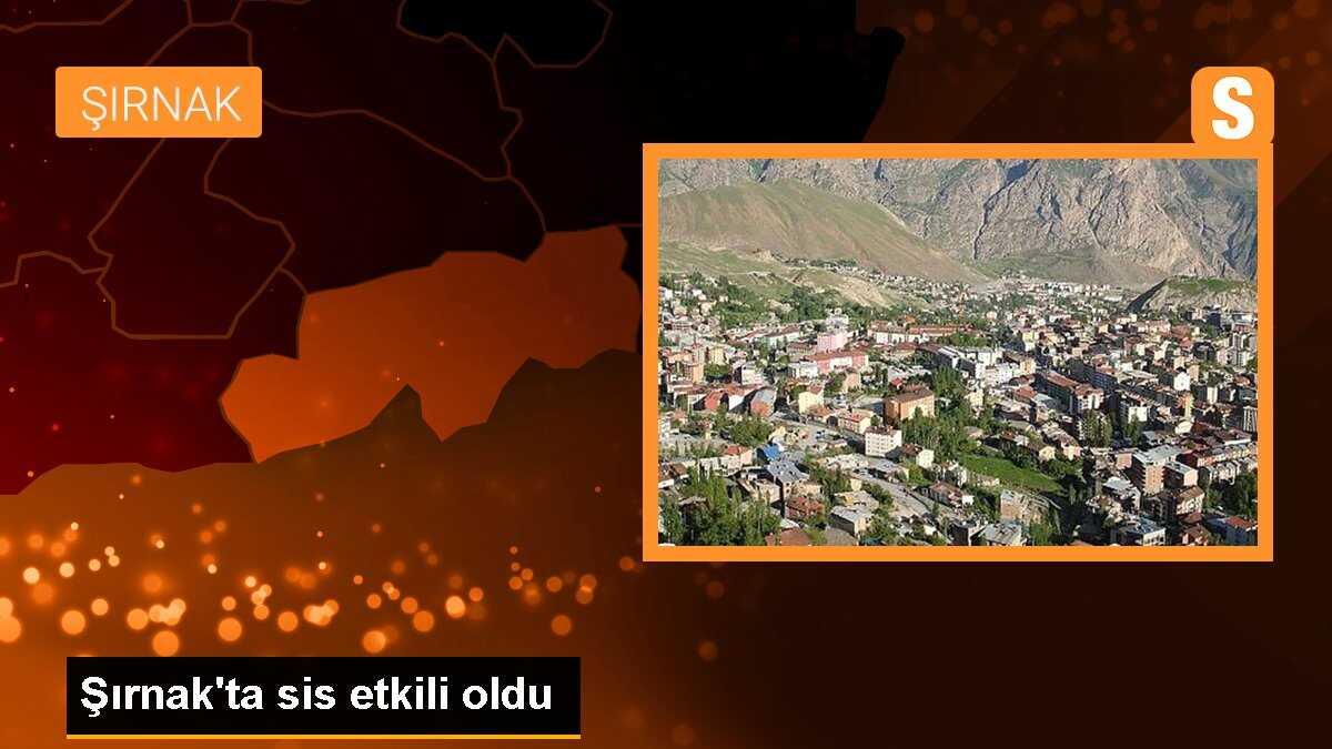 Şırnak\'ta sis etkili oldu