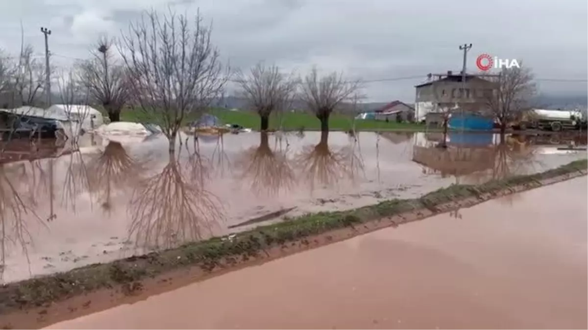 Elazığ\'da sağanak yağışın vurduğu beldede hayvanlar telef oldu