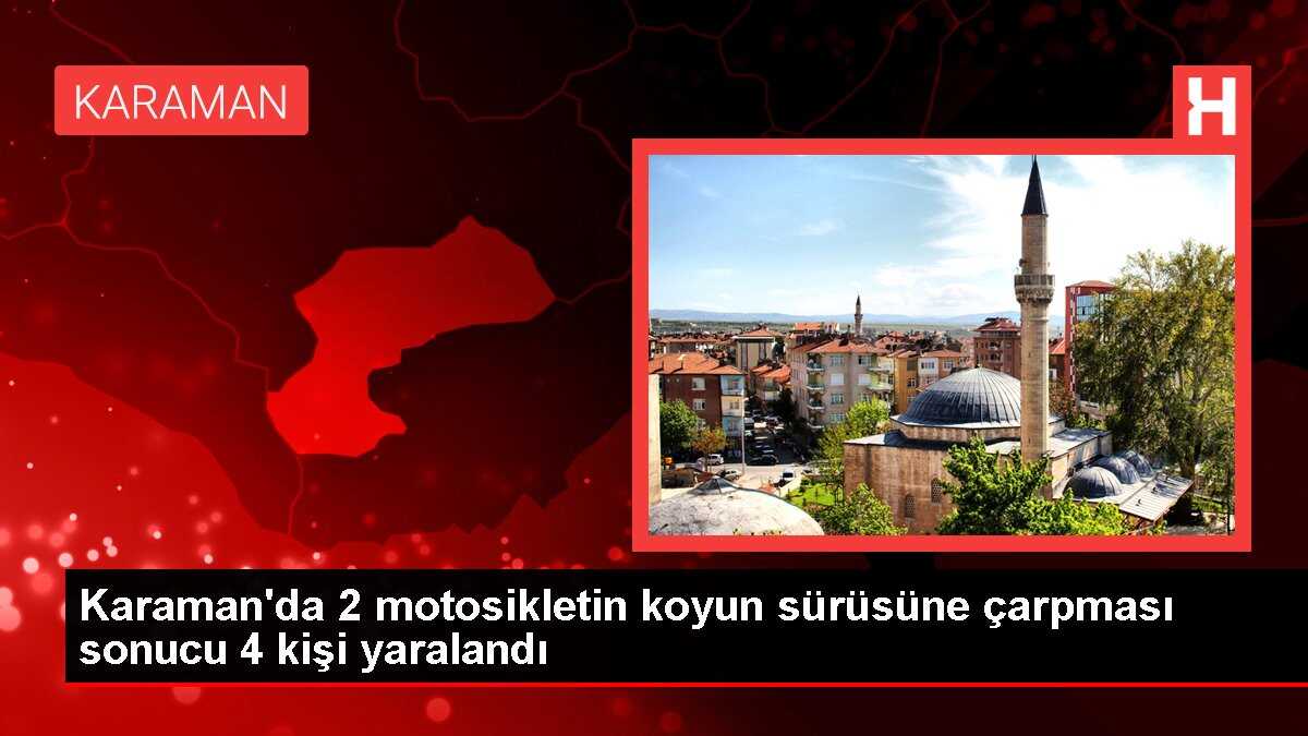 Karaman'da 2 motosikletin koyun sürüsüne çarpması sonucu 4 kişi yaralandı