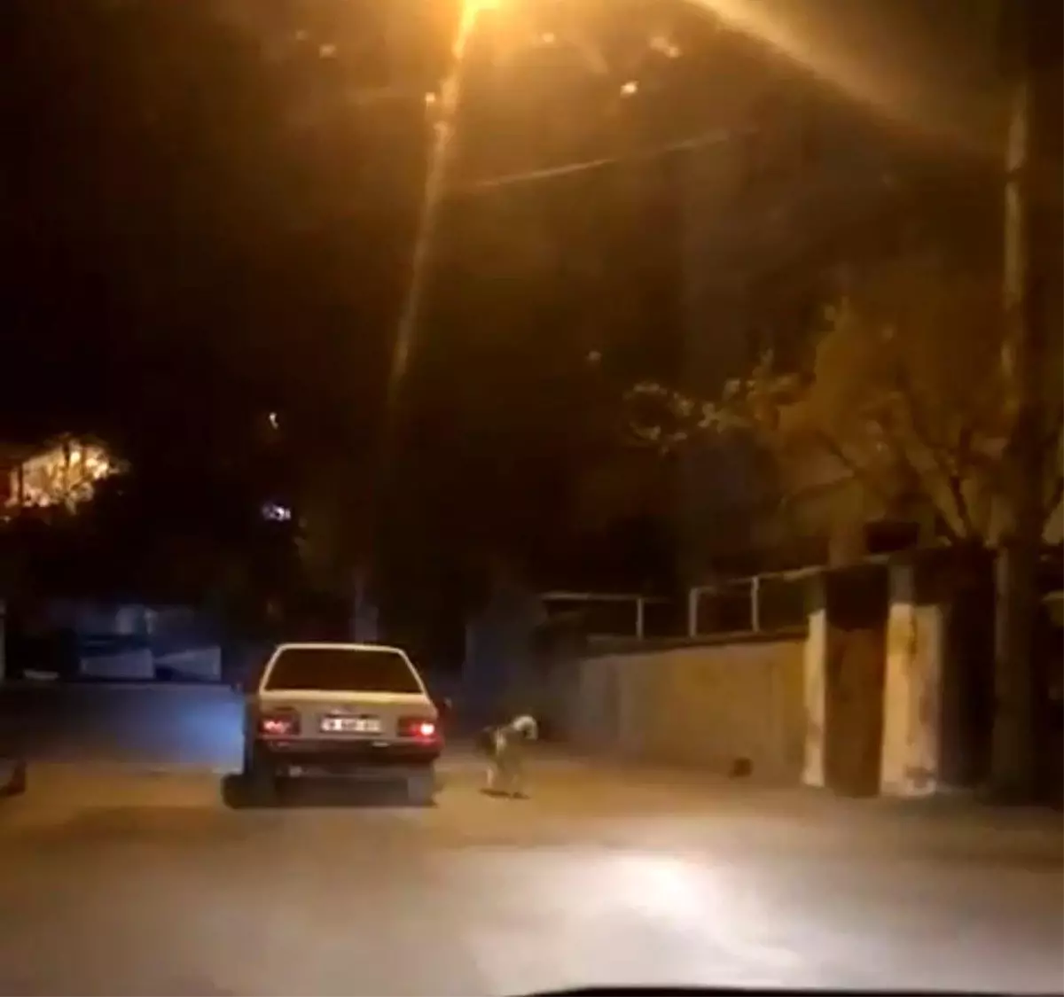 Köpeği otomobilin kapısına bağlayıp koşturdu