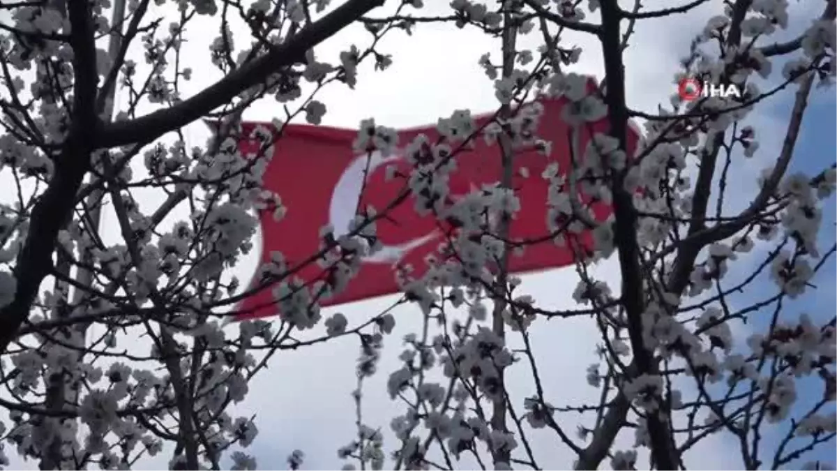 Kütahya\'da badem ağaçları çiçek açtı